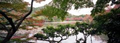 4-OK-Japan-Kyotogarten-.jpg